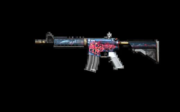 迷的目光 迷的目光