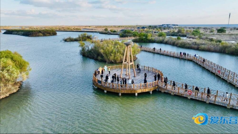 重新崛起 重新崛起