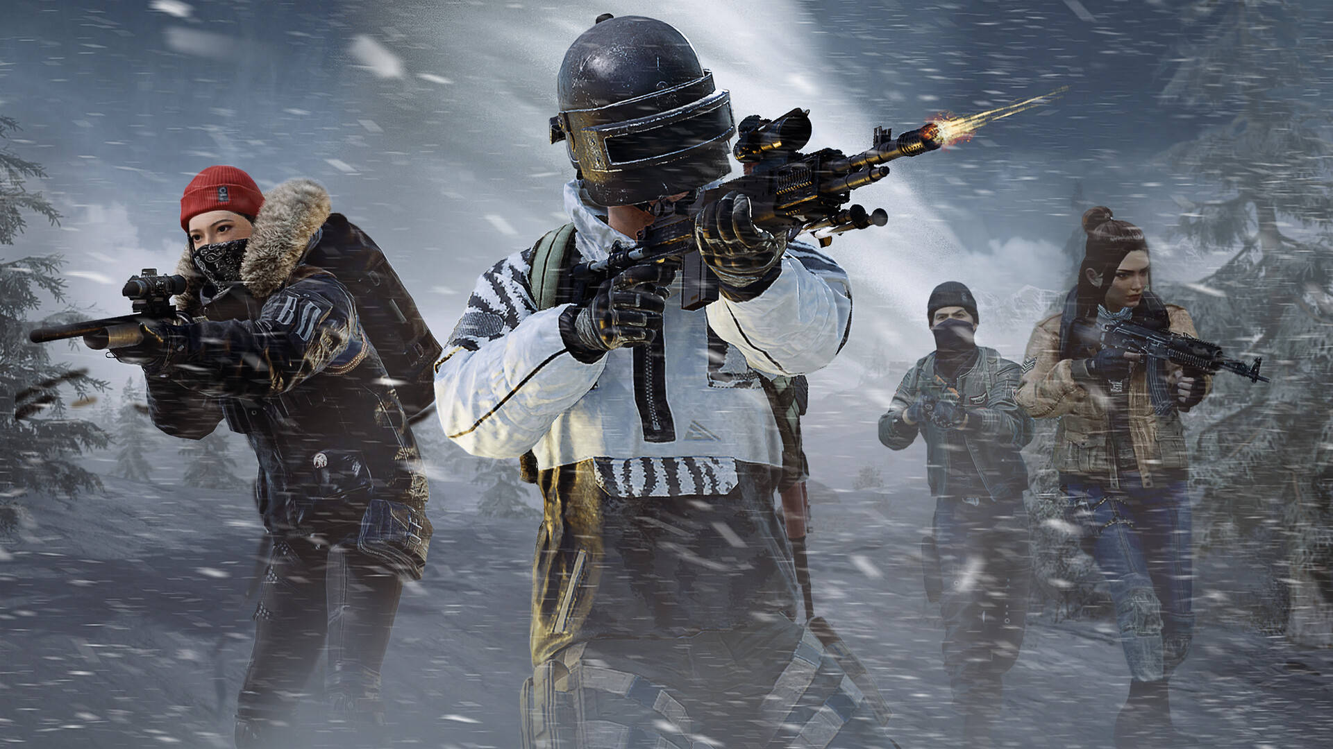 球队的公众 球队的公众